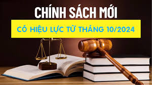 Chính sách mới có hiệu lực từ tháng 10/2024