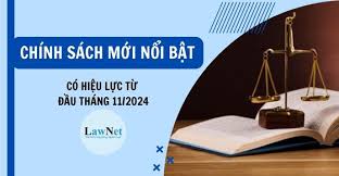 Chính sách mới có hiệu lực từ tháng 11/2024